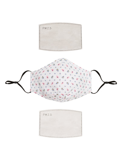 Face Mask 3043M