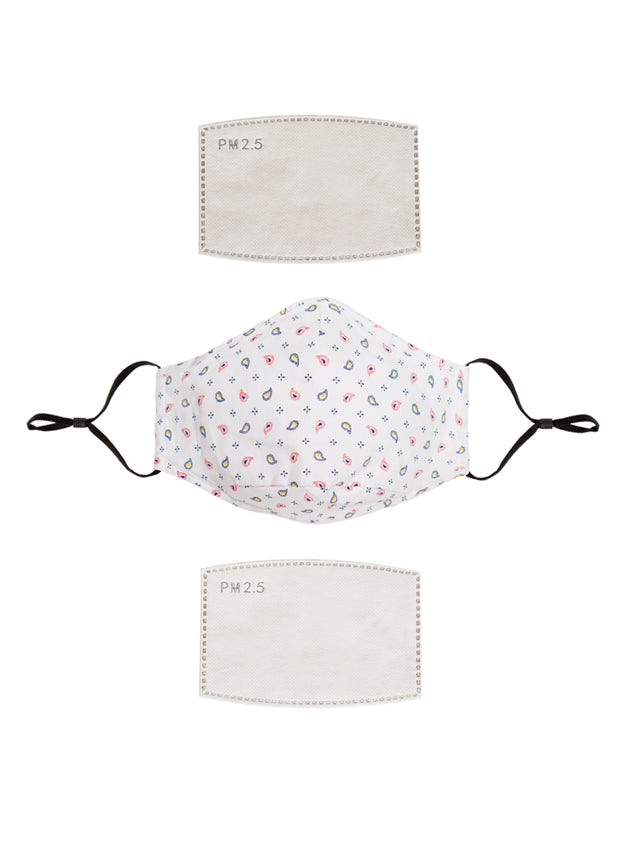 Face Mask 3043M