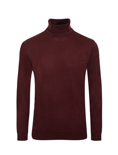 Turtle Neck sweater in Burgundy  T1100